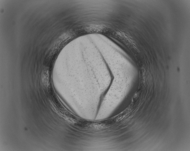 X0000067910498200605041647