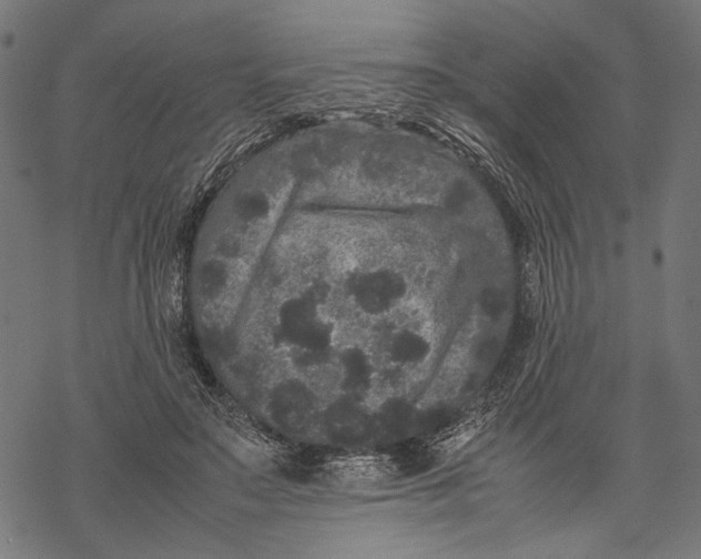 X0000067910499200605041647