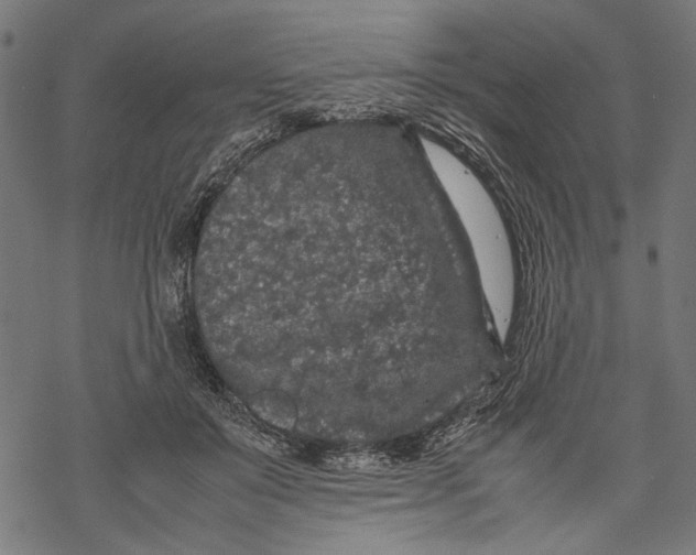 X0000067910503200605041647