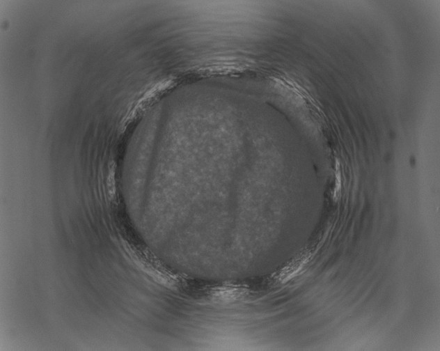 X0000067910504200605041647