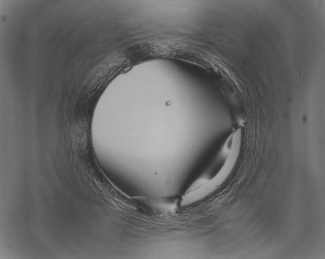 X0000067910505200605041647