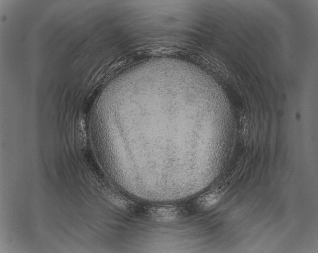 X0000067910506200605041647