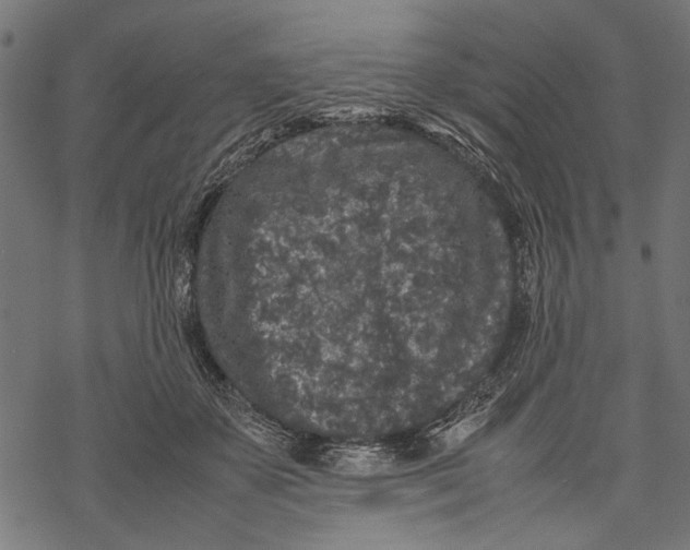 X0000067910507200605041647