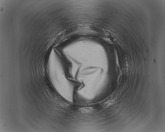 X0000067910508200605041647