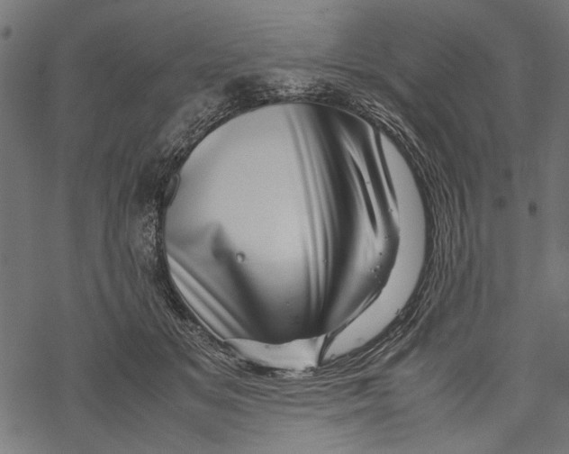 X0000067910509200605041647