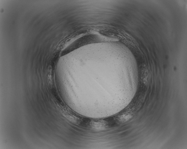 X0000067910510200605041647