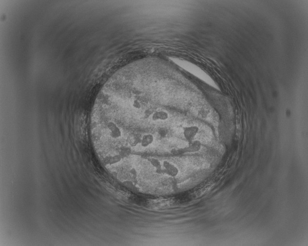 X0000067910511200605041647