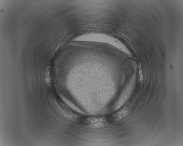 X0000067910512200605041647