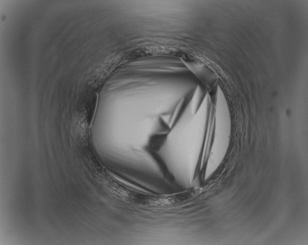 X0000067910513200605041647