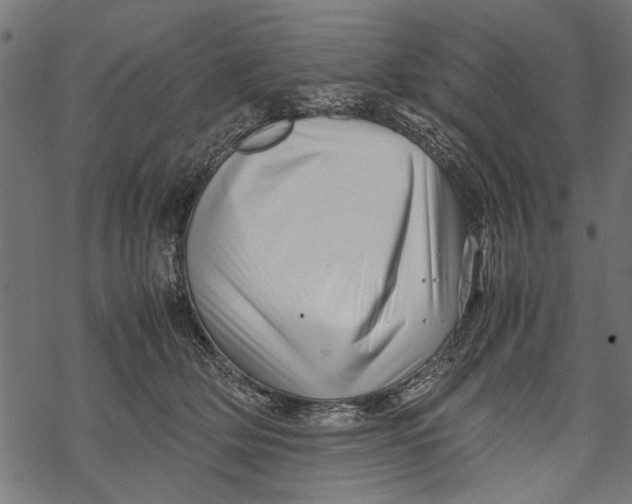 X0000067910514200605041647