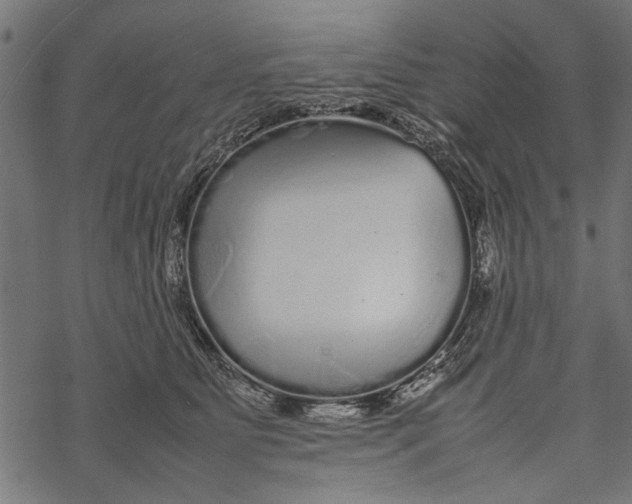 X0000067910515200605041647