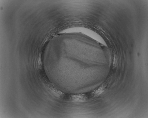 X0000067910516200605041647