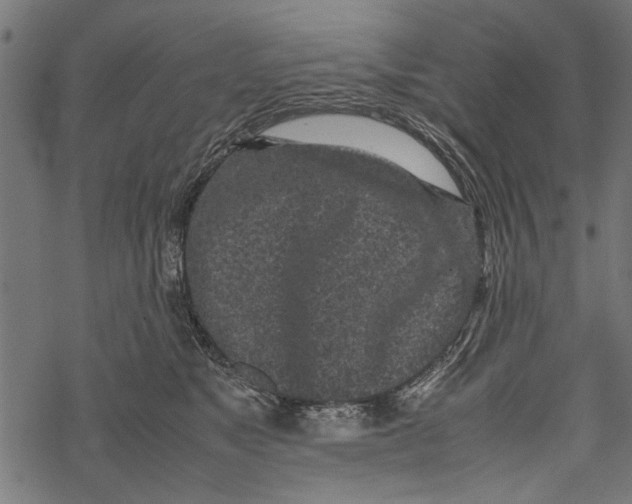 X0000067910517200605041647