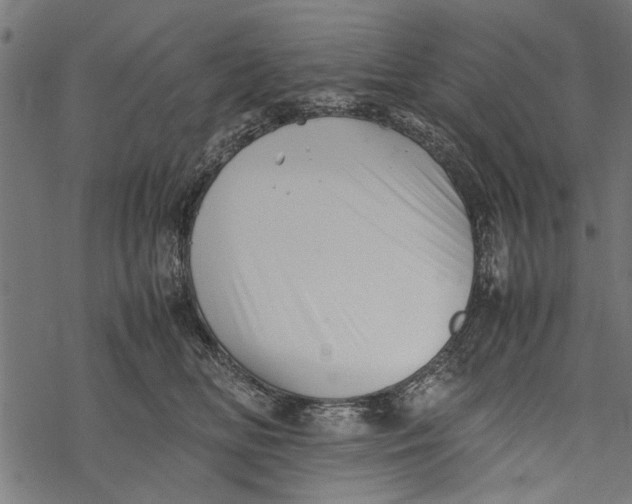 X0000067910518200605041647