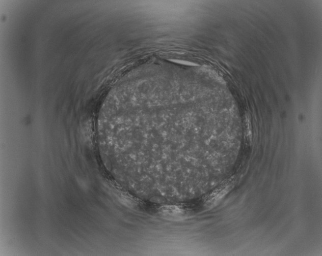 X0000067910519200605041647