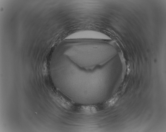 X0000067910520200605041647