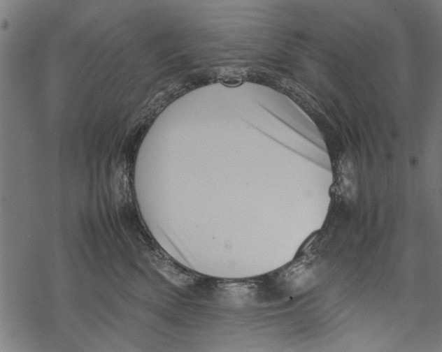 X0000067910522200605041646