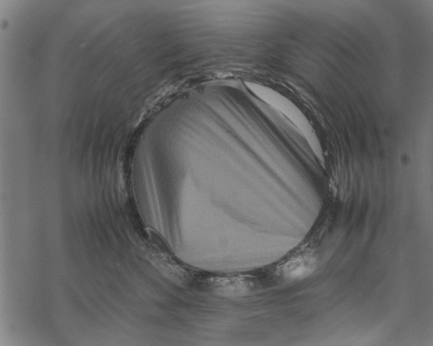 X0000067910524200605041646