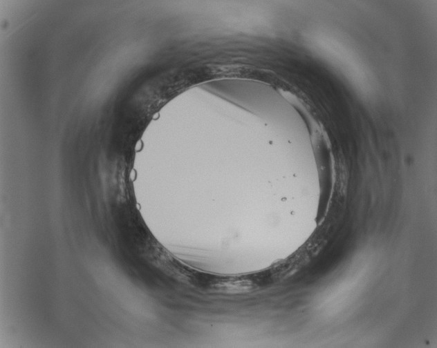 X0000067910525200605041646