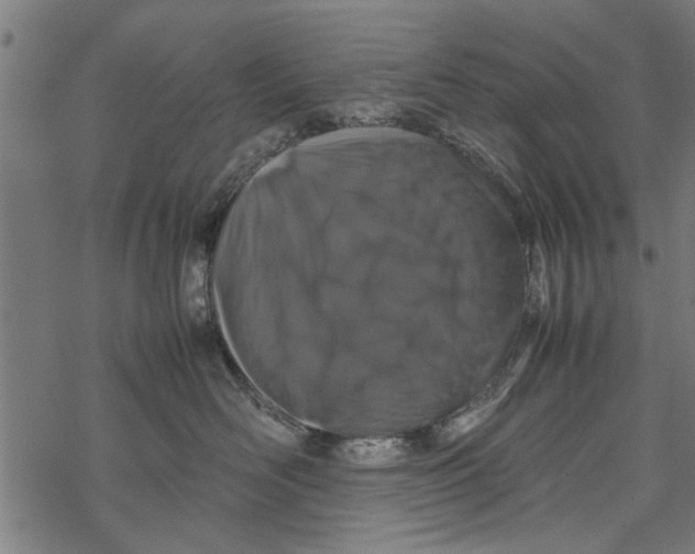 X0000067910526200605041646