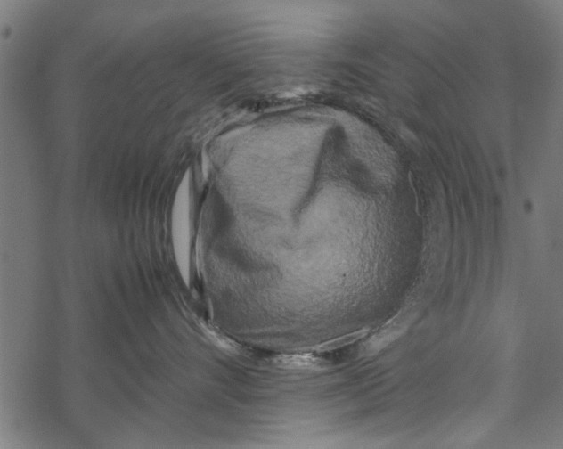 X0000067910528200605041646