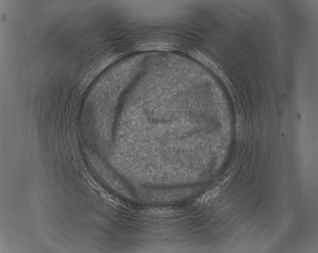 X0000067910529200605041646