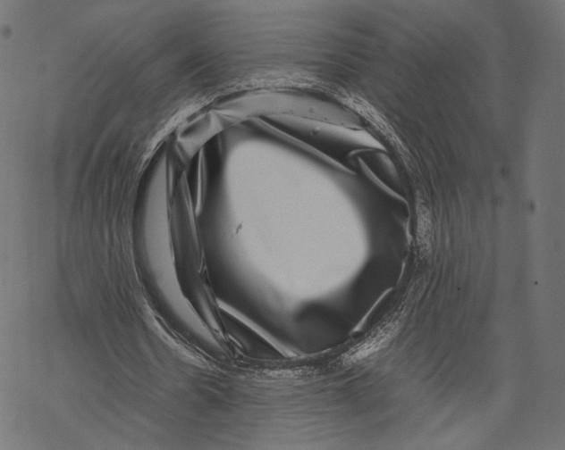 X0000067910530200605041646