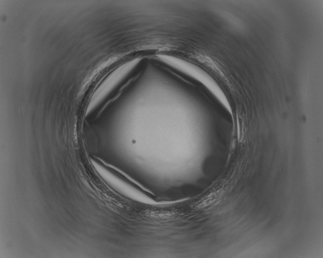 X0000067910531200605041646