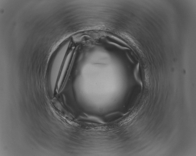 X0000067910532200605041646