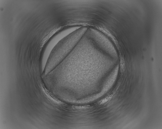 X0000067910533200605041646