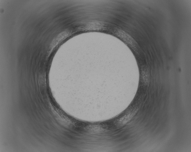 X0000067910534200605041646