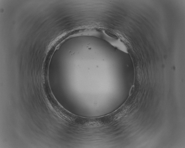 X0000067910536200605041646