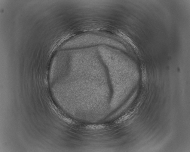 X0000067910537200605041646