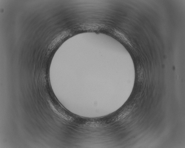 X0000067910538200605041646