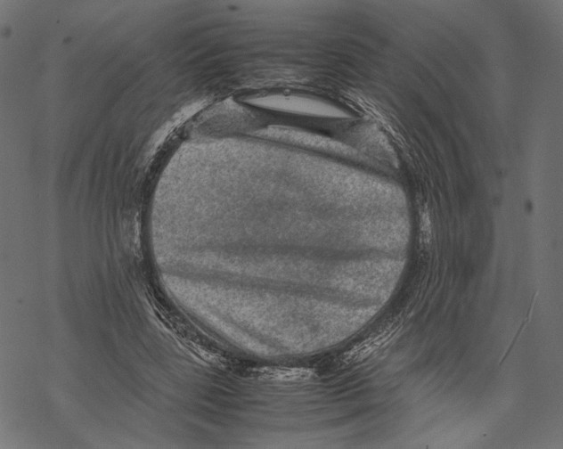 X0000067910539200605041646