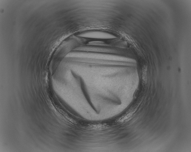 X0000067910540200605041646