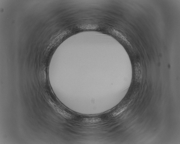 X0000067910541200605041646