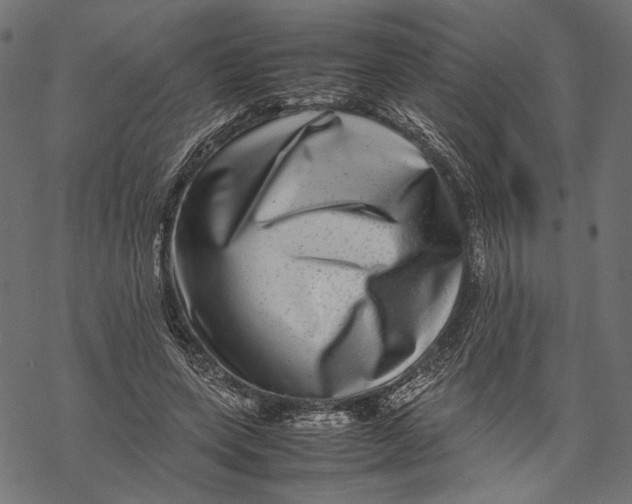 X0000067910543200605041646