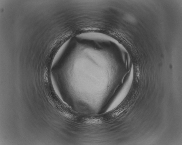 X0000067910547200605041646