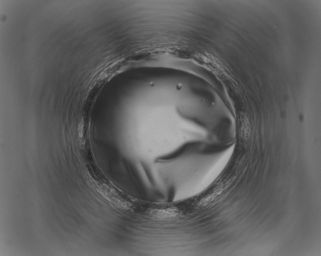 X0000067910548200605041646