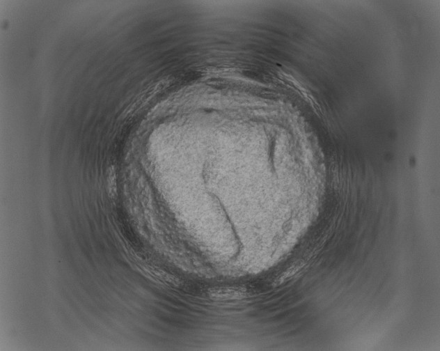 X0000067910549200605041646