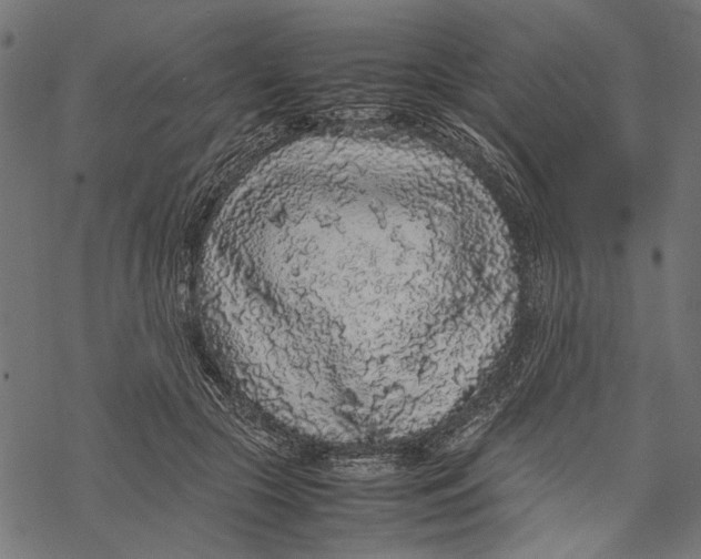 X0000067910553200605041646