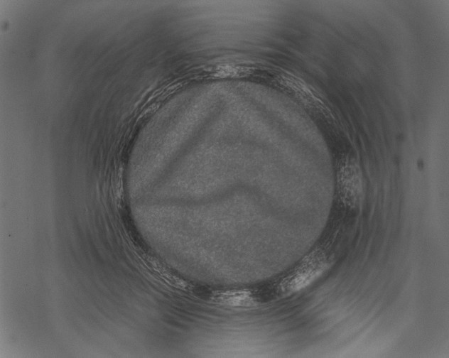 X0000067910554200605041646