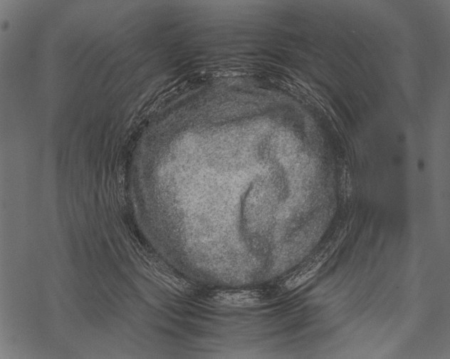 X0000067910557200605041646