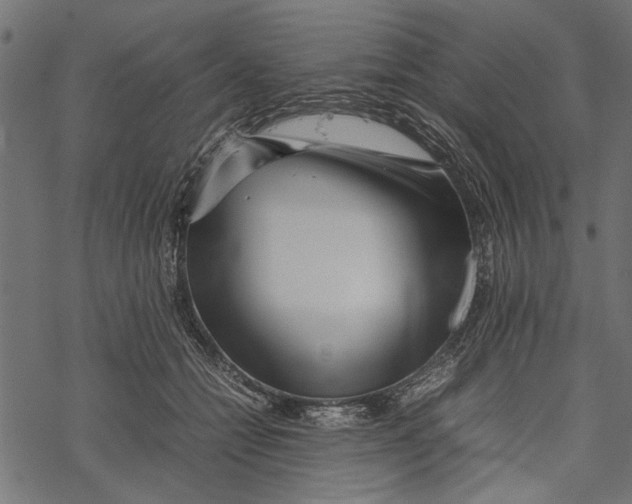 X0000067910558200605041646