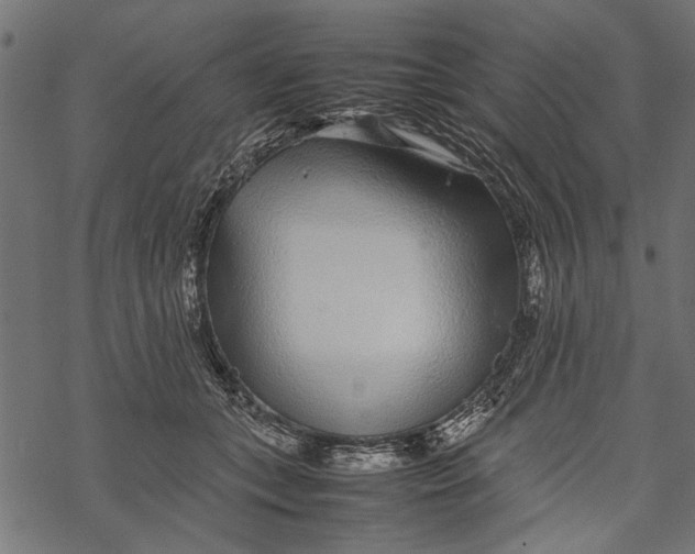 X0000067910559200605041646