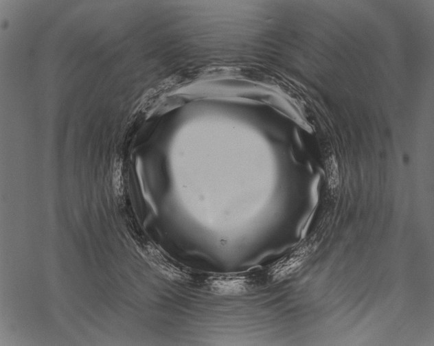 X0000067910560200605041646