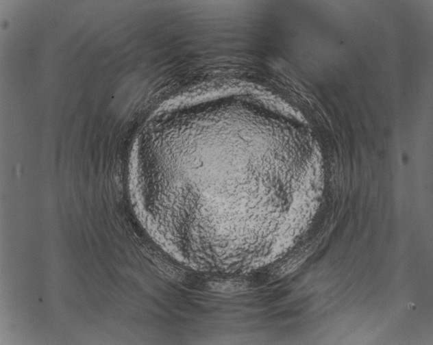 X0000067910561200605041646