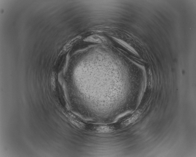 X0000067910562200605041646