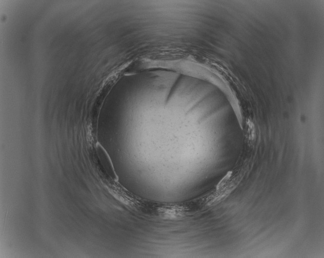 X0000067910564200605041646